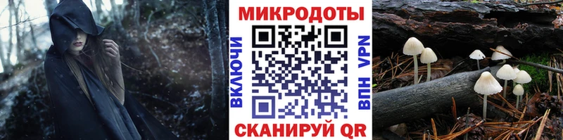 Псилоцибиновые грибы Cubensis  kraken зеркало  Чёрмоз  закладки 